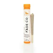 Photograph of product: Fade Co. Mule Fuel (2pk) PRJs