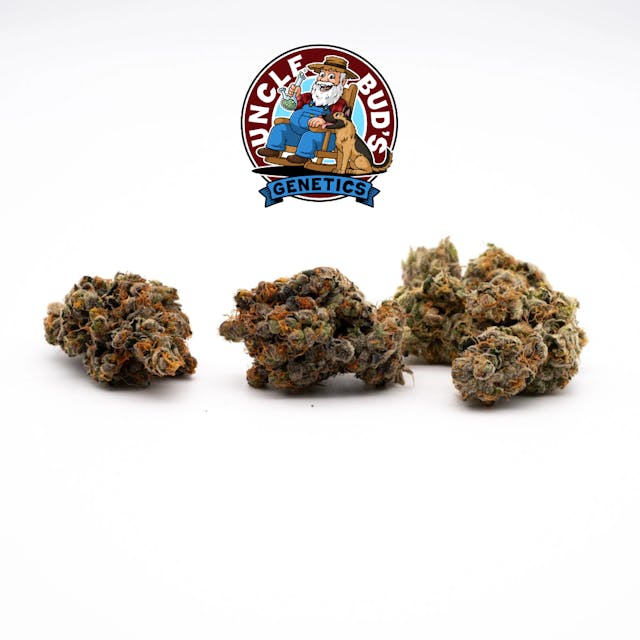 Photograph of product: UB - Mylar - Black Cherry Gelato - 28g - 