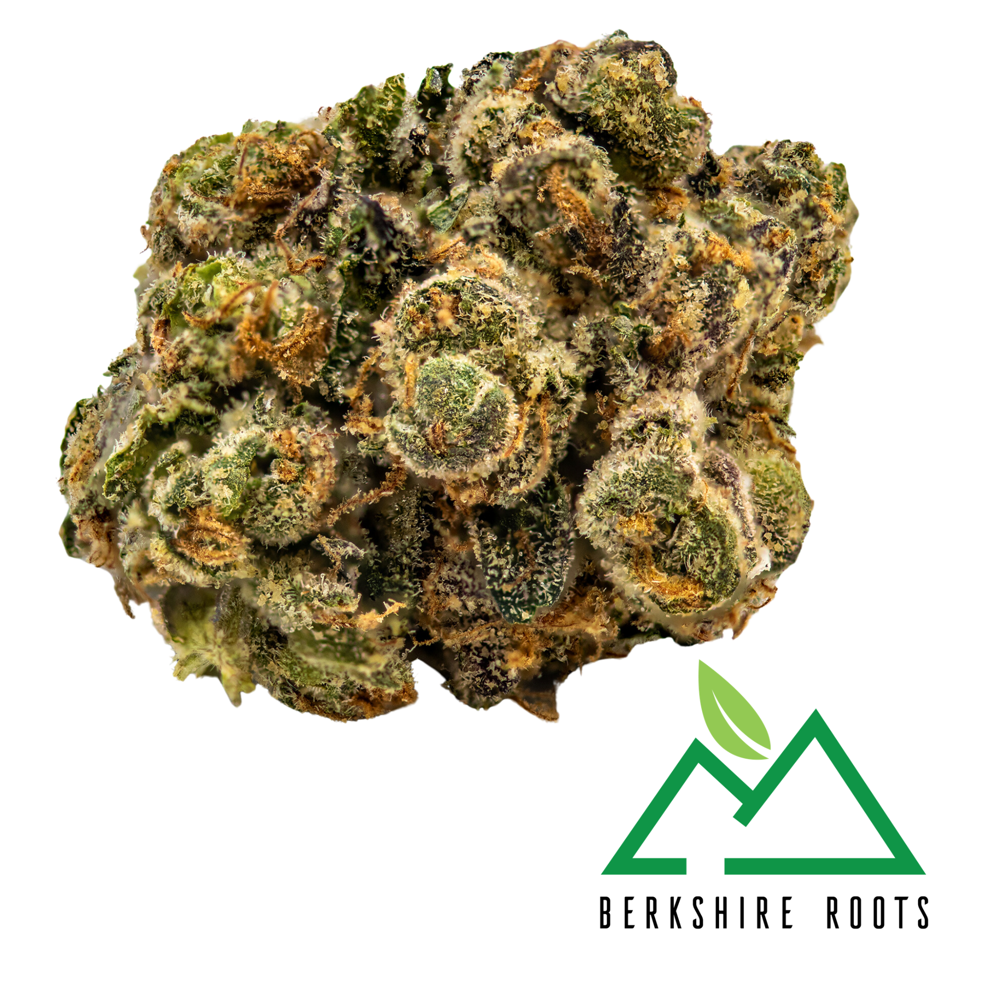 Photograph of product: London Jelly | 3.5g