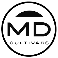 Photograph of product: Sour Diesel | 7g