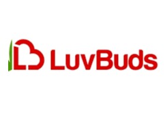 Photograph of product: LuvBuds: Accessories | 6" Color Frit Glass Dab Tool | Assorted Colors