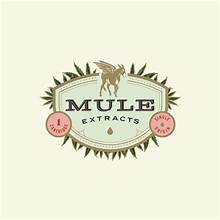 Photograph of product: Muleshine - "50.4" Marionberry