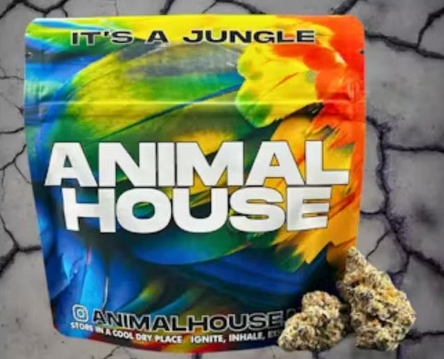 Photograph of product: Animal House Whole Flower | 3.5g | OG Kush