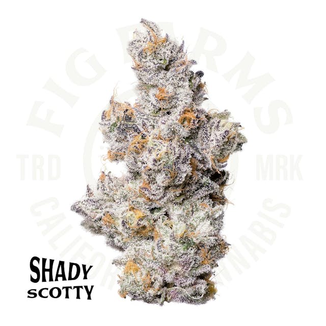 Photograph of product: Shady Scotty | 3.5g Flower