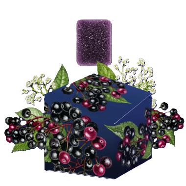 Photograph of product: Elderberry 2:1 Oui'd Gummies 100mg [E24]