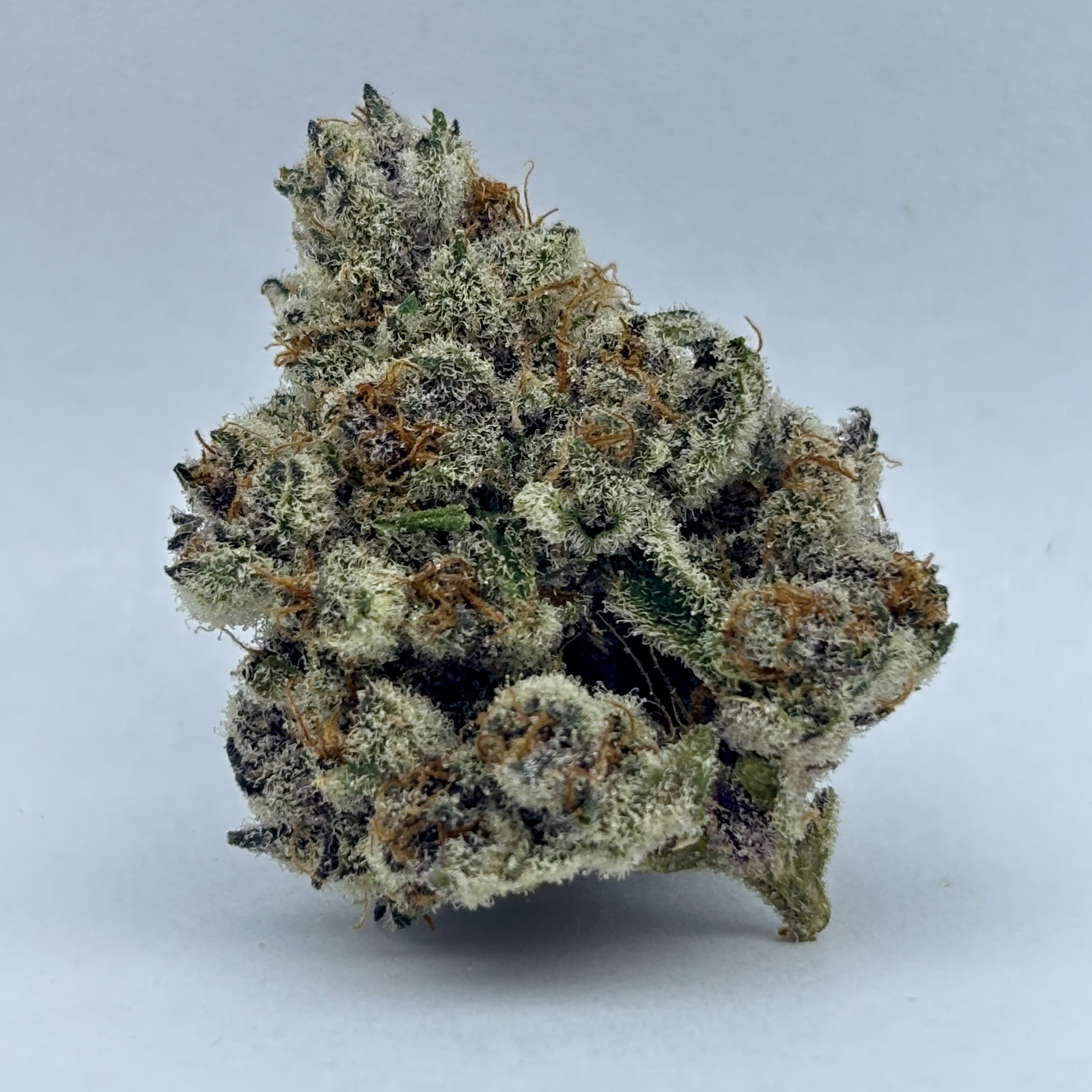 Photograph of product: PinkZugar-Flower-|Oui'dDominant|BSC - 3.5g
