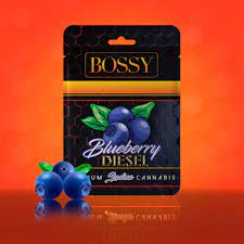 Photograph of product: Blueberry Diesel Cartridge | 1g (REC)