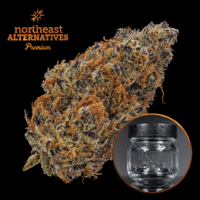 Photograph of product: Garlicane (TAX INCLUDED) - 3.5g