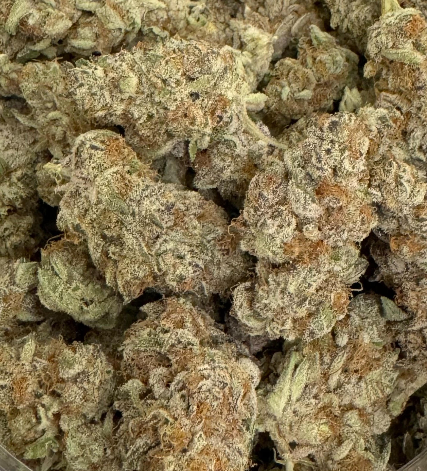 Photograph of product: Cherry Paloma : Ripe Herb : Hartford, MI Grown - 28g