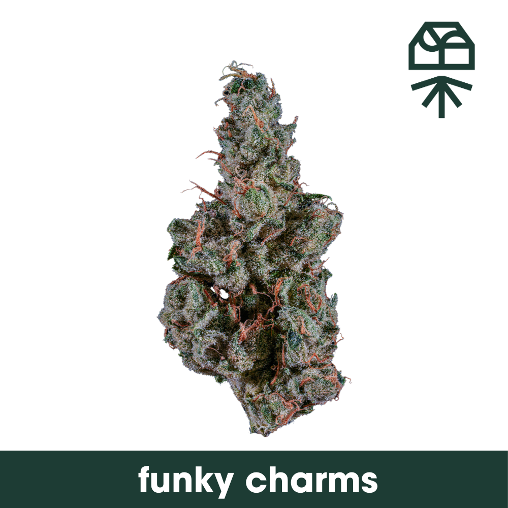 Photograph of product: Funky Charms - 3.5g