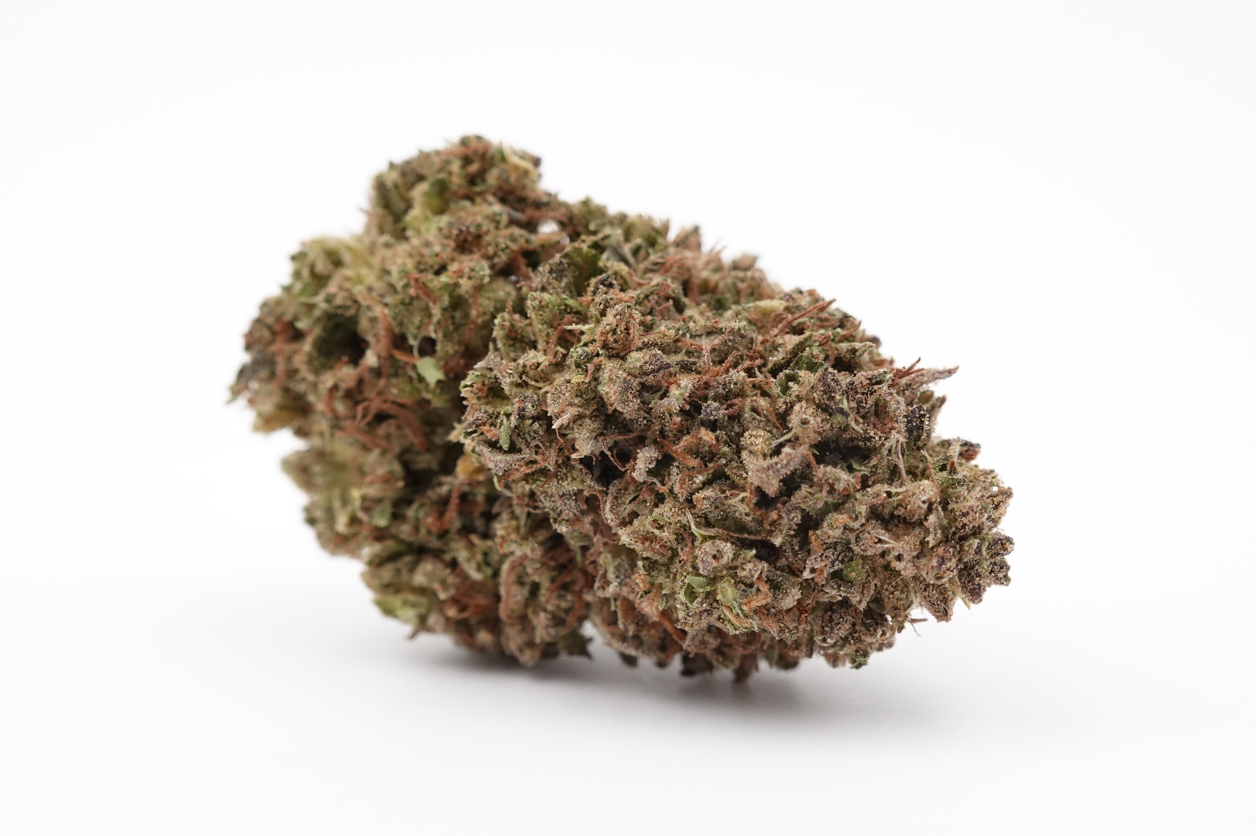 Photograph of product: PBJ VB - Sow Canna (H) - 28g