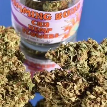Photograph of Product: Humming Buds | CBD Hemp Flowers | Cherry Blossom | 3.5g