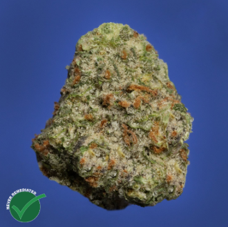 Photograph of product: Flower - Theraplant - Ice Cream CKE (I) - 3.5g 41078