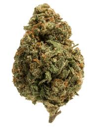 Photograph of Product: OC | Dank Dough | 3.5G Flower