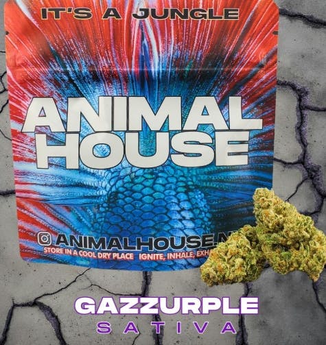 Photograph of product: Animal House - Gazzurple - 14g