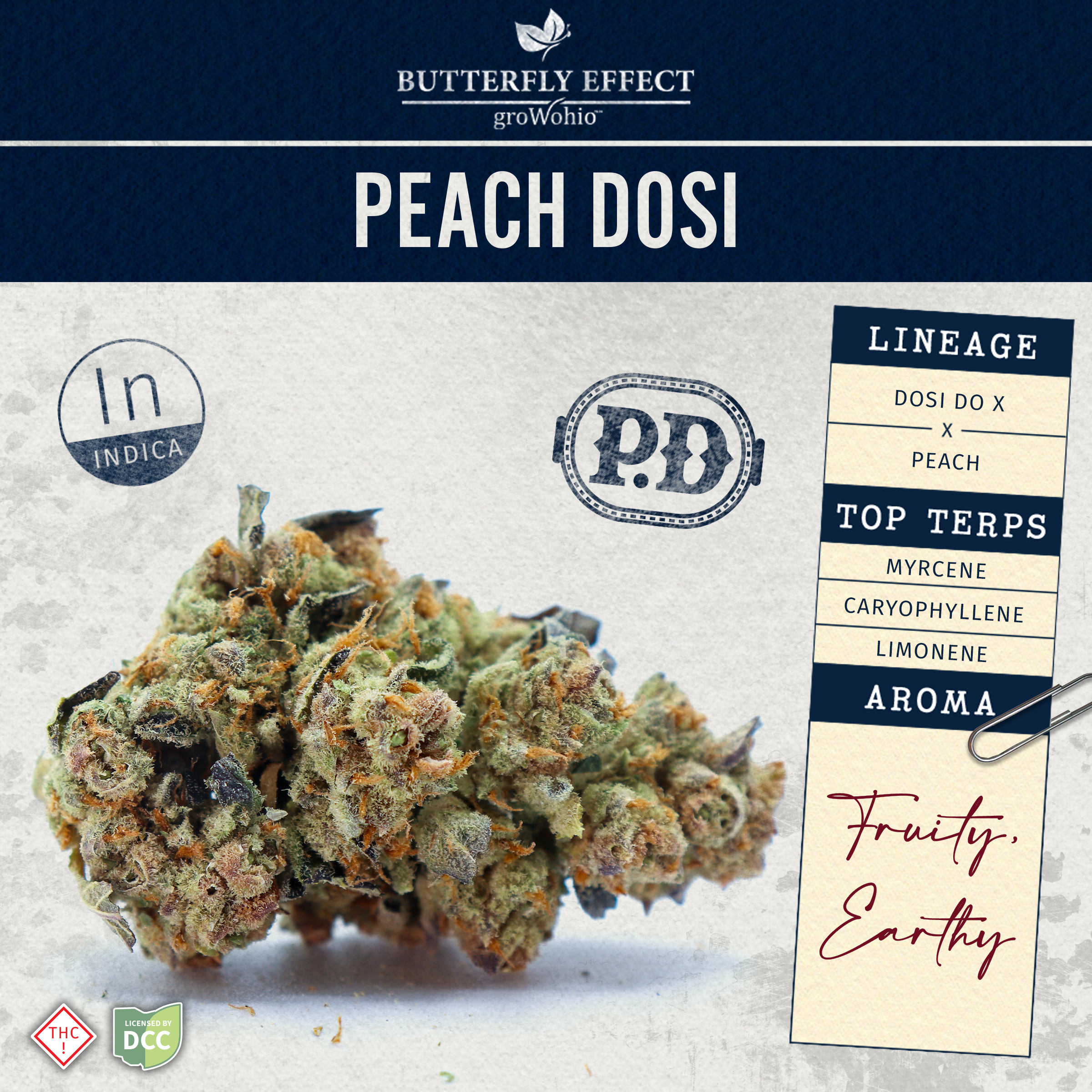 Photograph of product: Peach Dosi | 14.15g