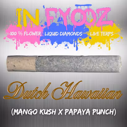 Photograph of product: Dutch Hawaiian | Infused Preroll | 1g