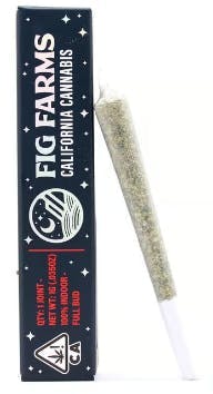 Photograph of product: Cocoa Mints (1g)