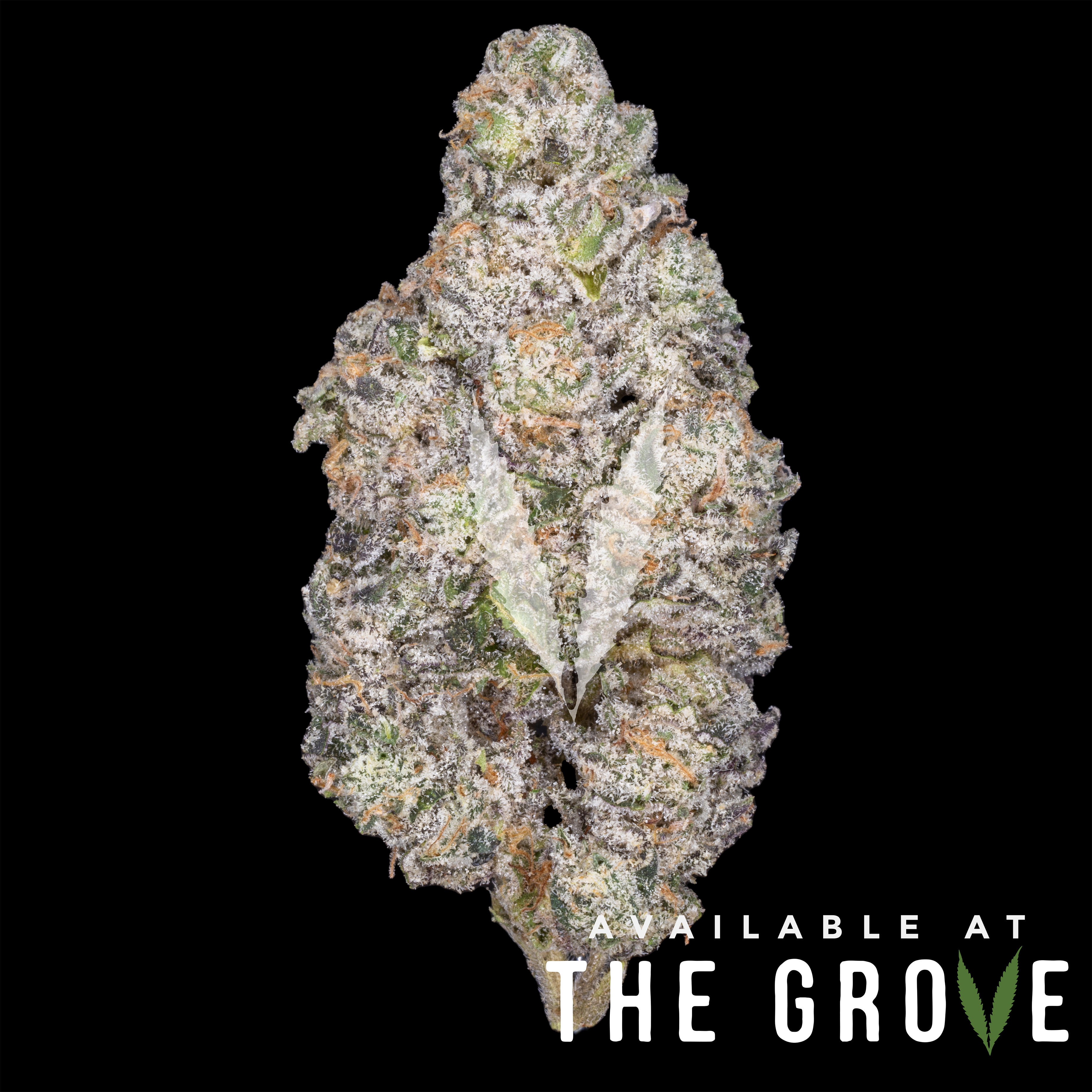 Photograph of product: CAM | Bubba's Girl 1/8ths - 3.5g