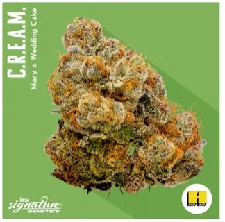 Photograph of product: C.R.E.A.M | 3.5g