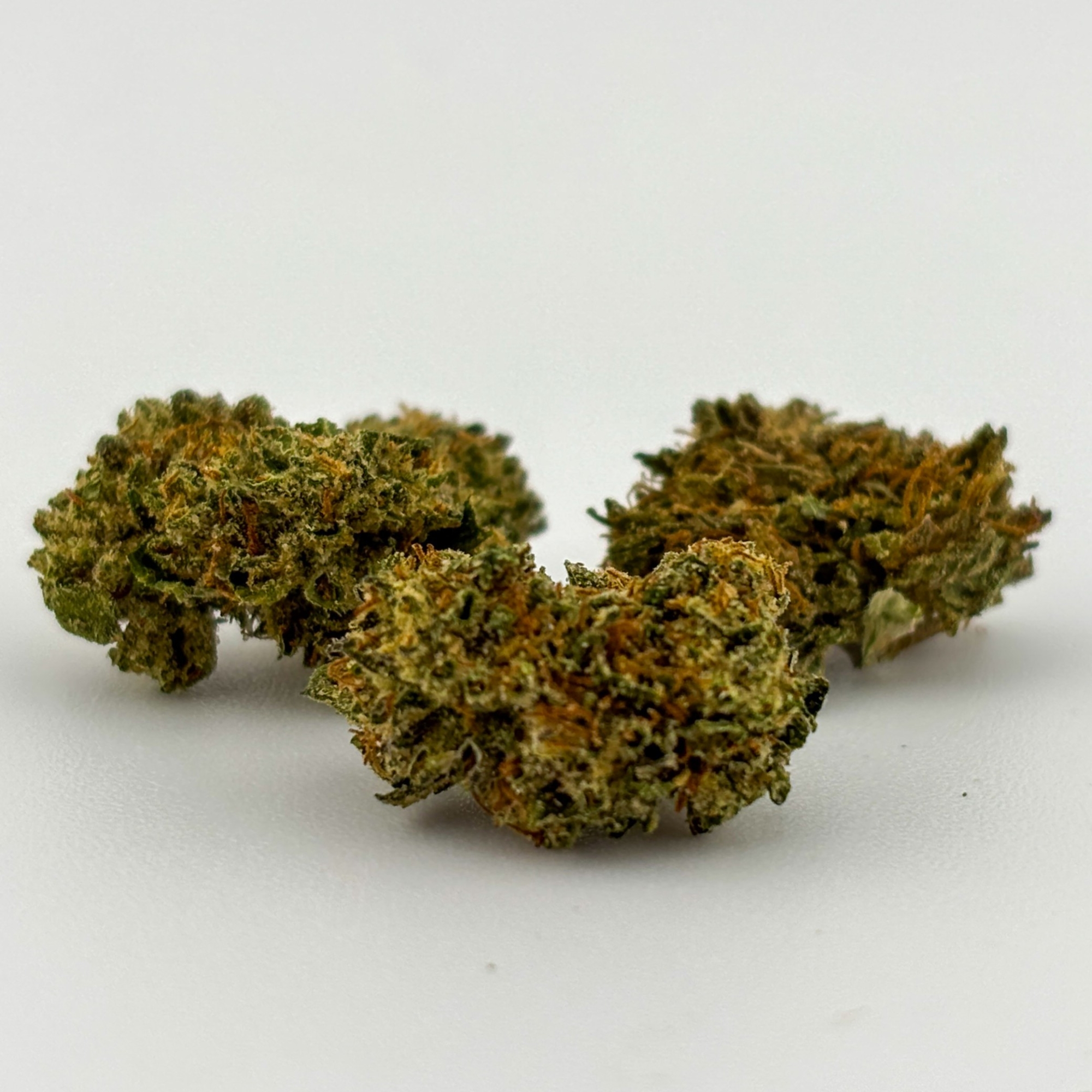 Photograph of product: Alta Gardens | Flower (B-Buds) [I] | Oreo Blizzard