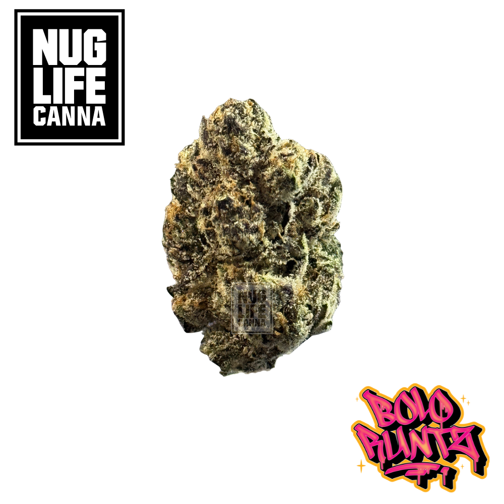 Photograph of product: Nug Life Canna | Bolo Runtz - 28g