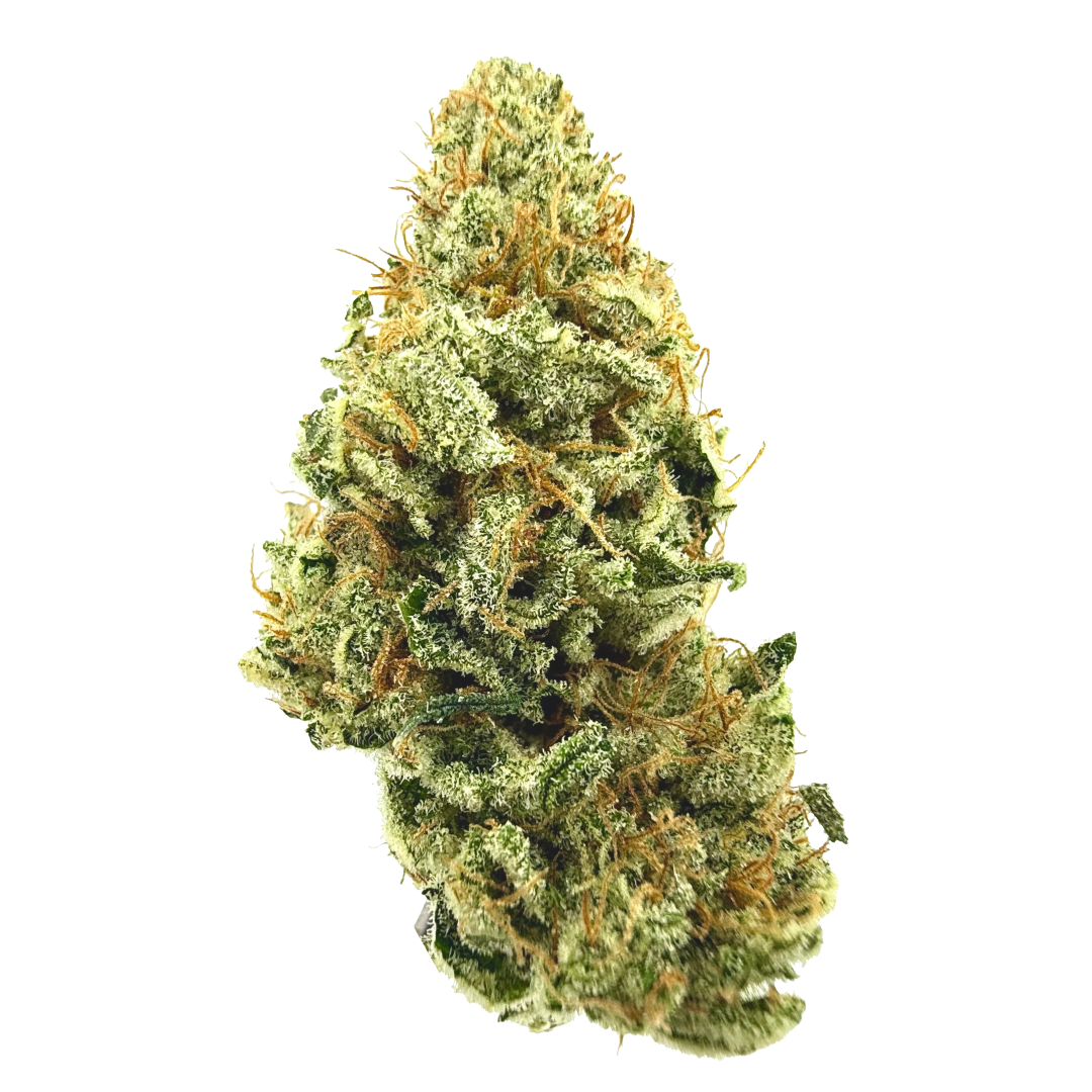 Photograph of product: SNOWTILL - ANIMAL X-ING 3.5G