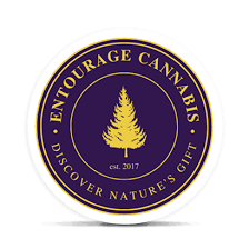Photograph of product: Entourage Oui'd - SOUR PAPAYA - Disposable Live Rosin Cartridge - (1g) - I
