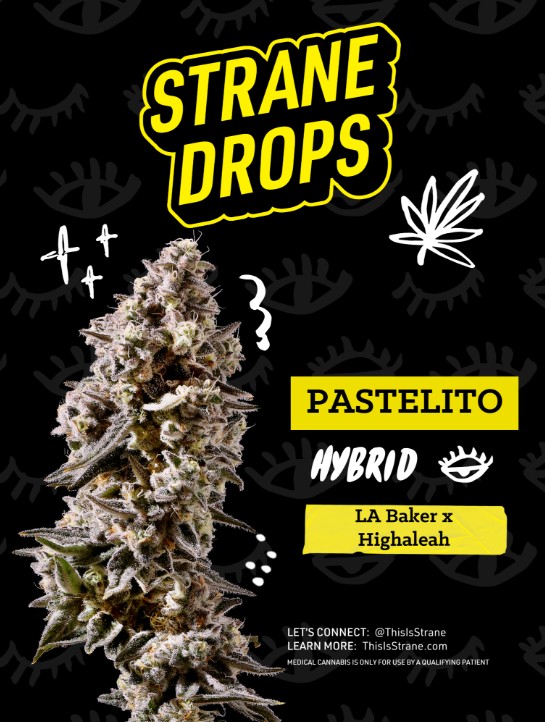 Photograph of Product: STRANE Drops | Pastelito | 3.5g flower | Hybrid
