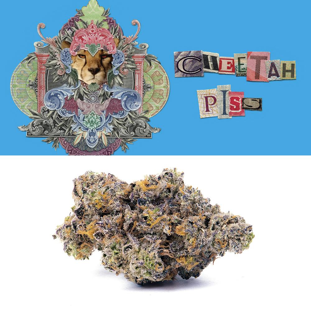 Photograph of product: Cheetah Piss - 3.5g
