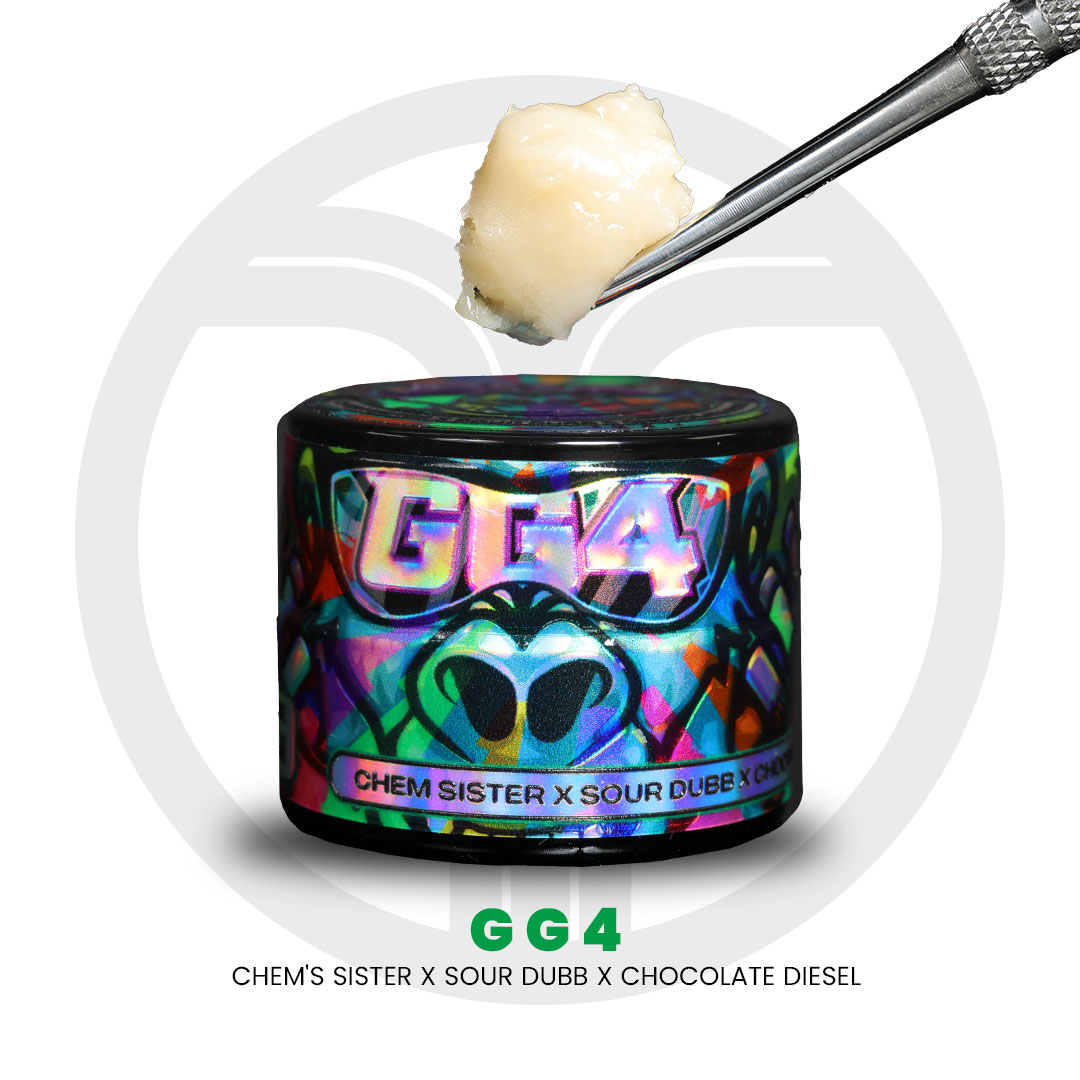 Photograph of product: Freshy Fine - au chocolat Rosin - GG4