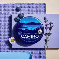 Photograph of product: Camino - Midnight Blueberry 100mg