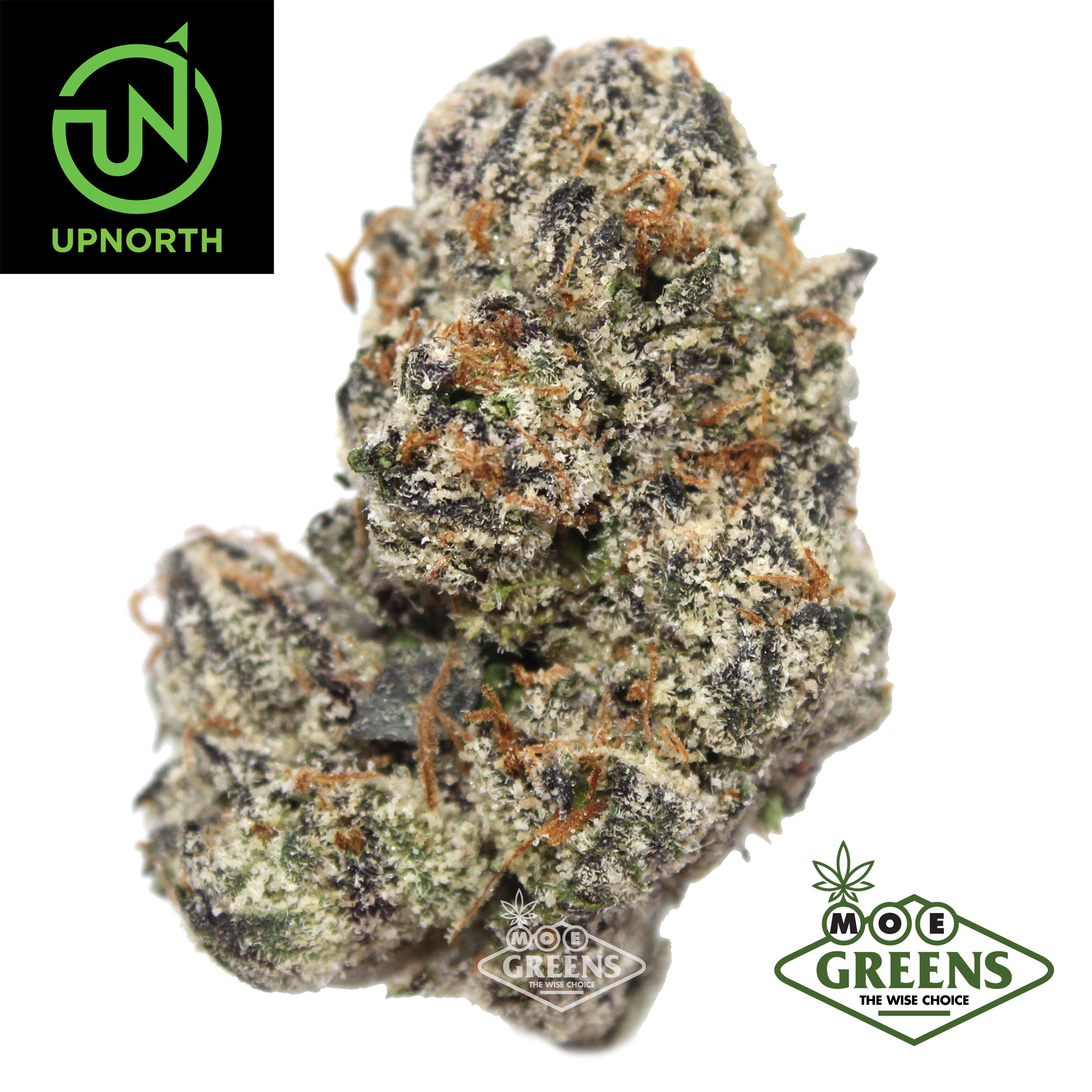 Photograph of product: GELATO #33
