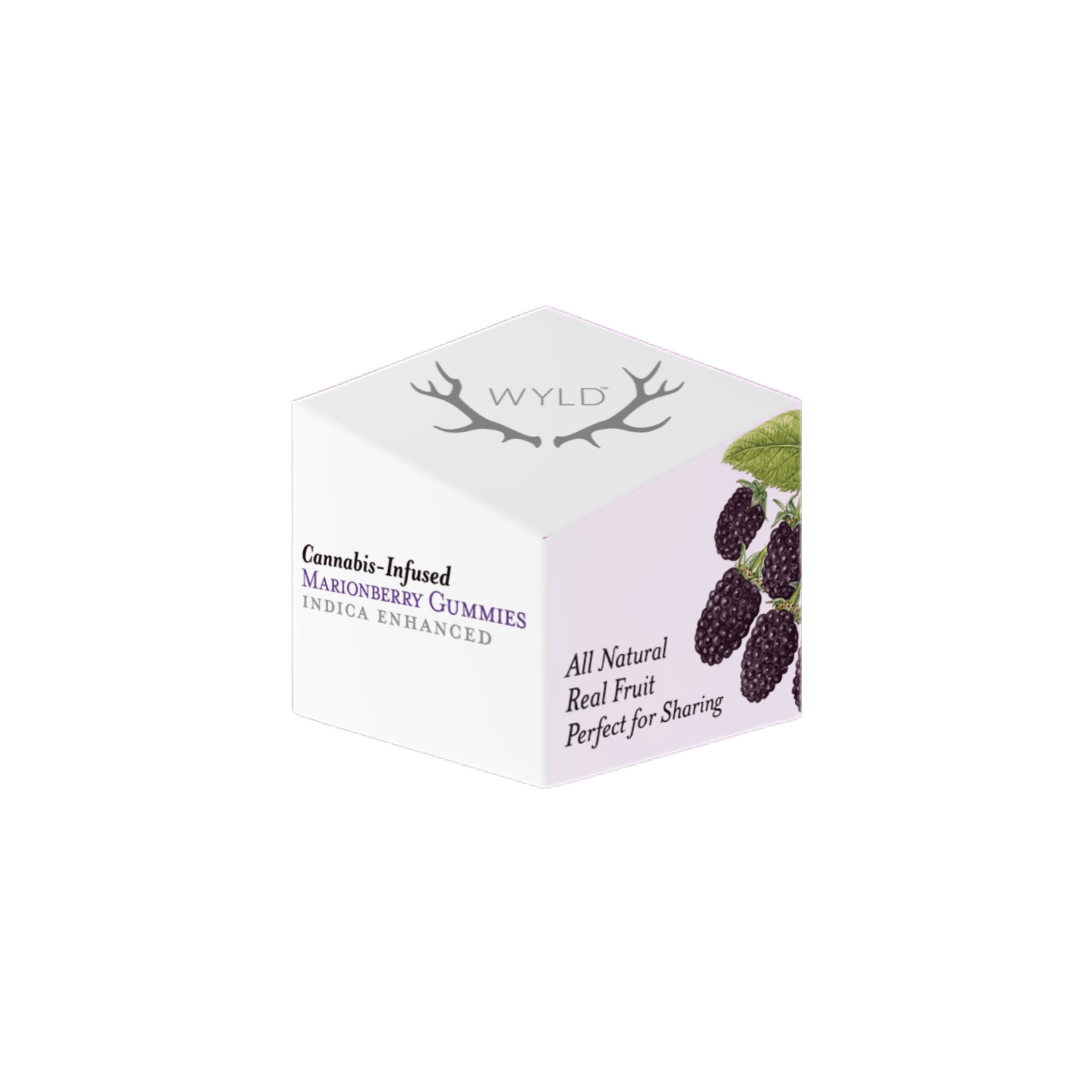 Photograph of product: Marionberry Gummies | 100mg | Wyld