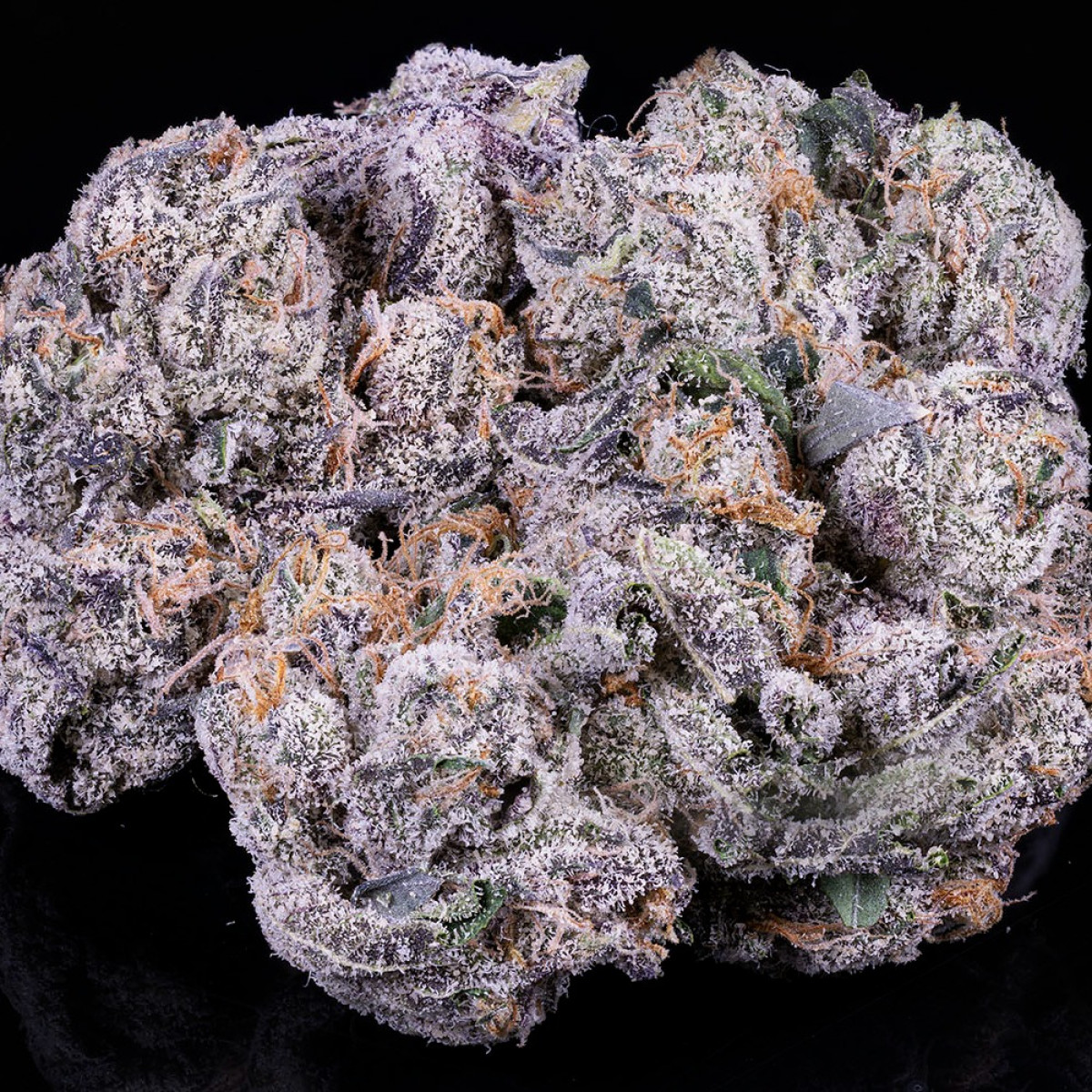 Photograph of product: Runtz - FLOWER - 28g