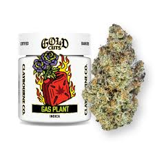 Photograph of product: GAS PLANT 3.5G GOLD CUTS FLOWER