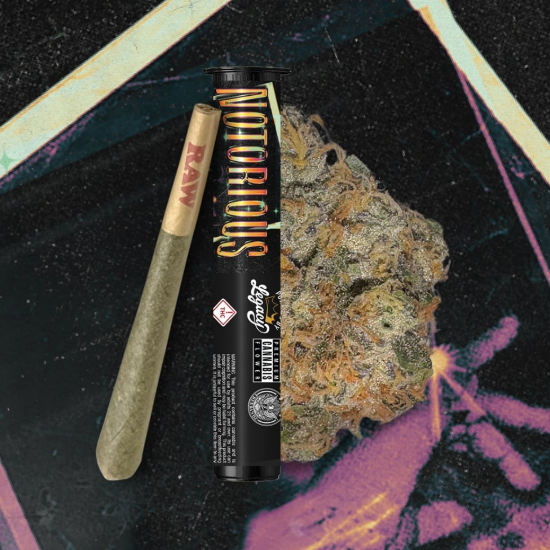 Photograph of product: Notorious #1