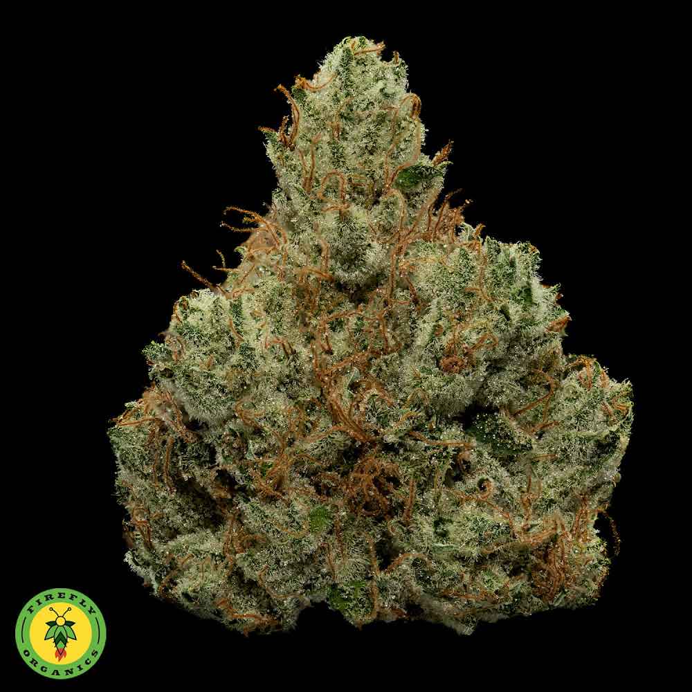 Photograph of product: Glue Berries - Firefly Organics - 28g