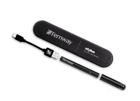 Photograph of product: Fernway | Stylus Battery