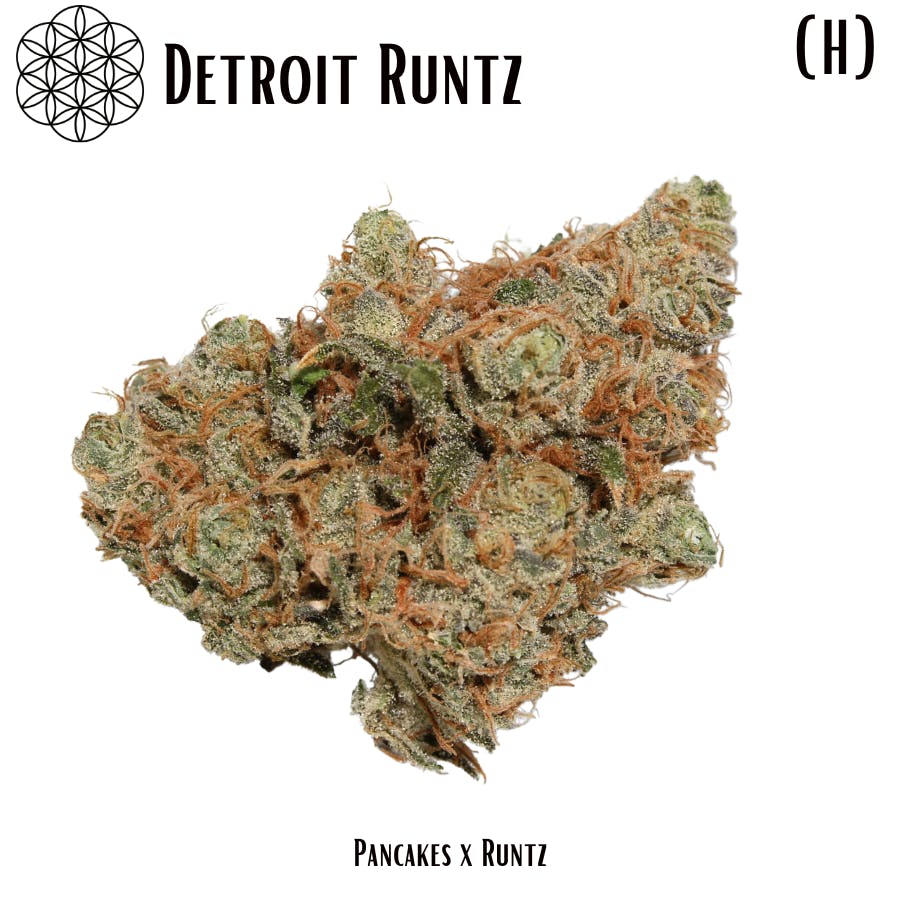 Photograph of product: Detroit Runtz Flower 1OZ