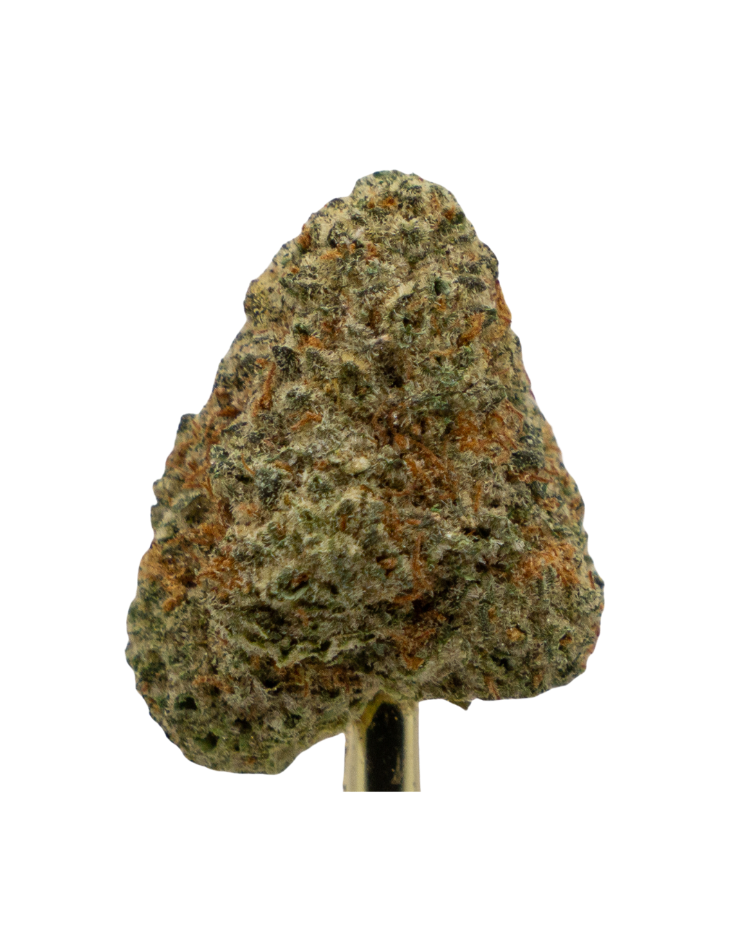 Photograph of product: Seed and Strain - KY JLS - 28g