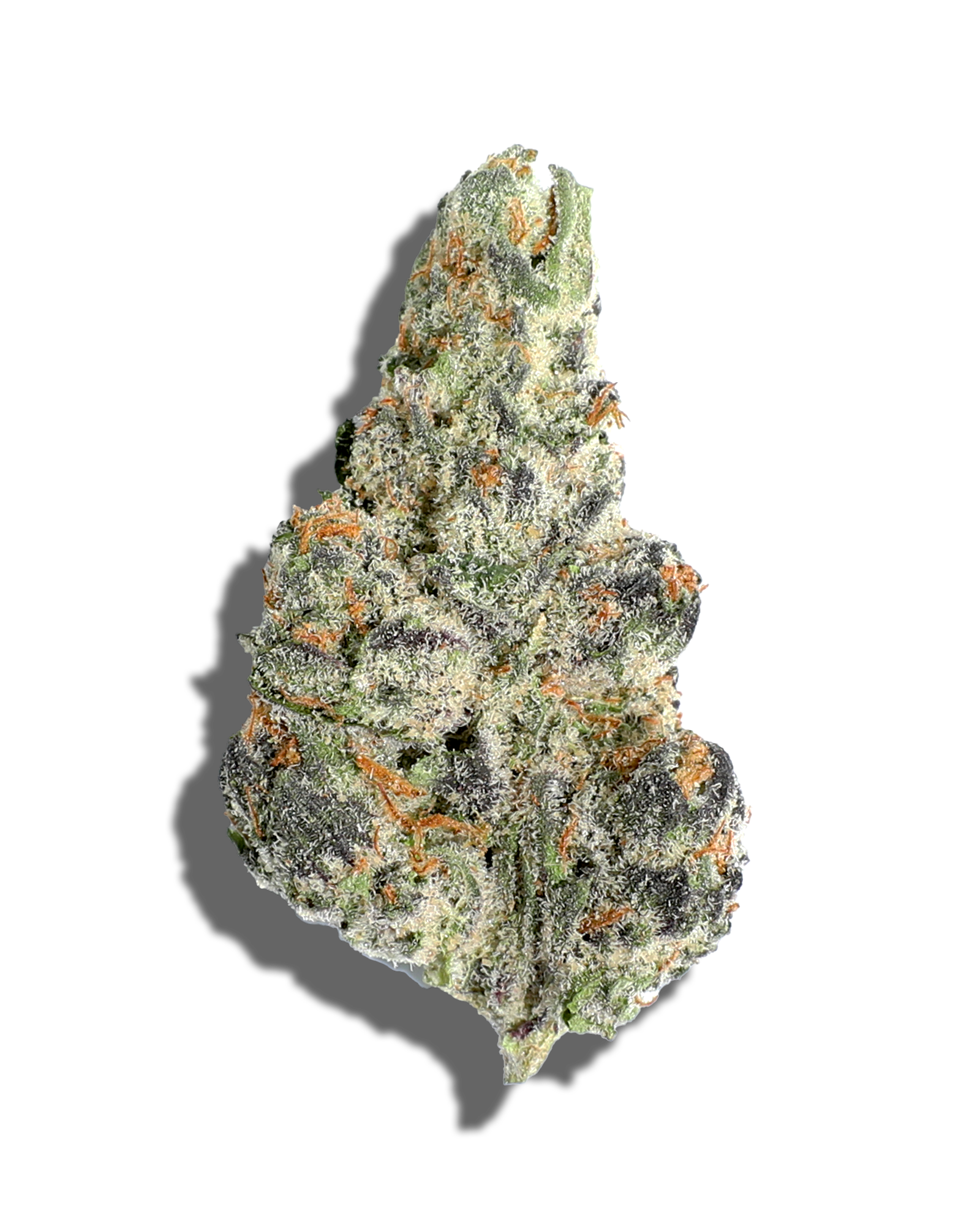 Photograph of product: Dracoz 1oz