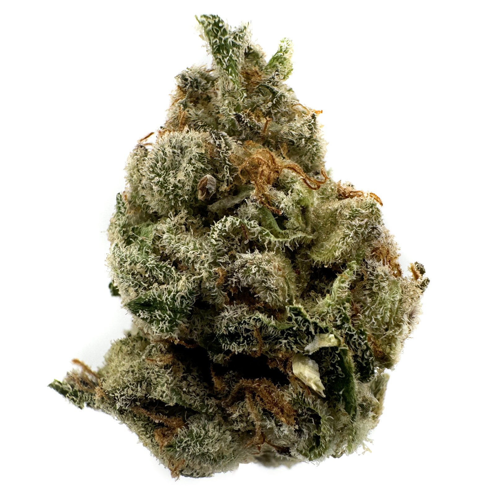 Photograph of product: Glorious El Chivo Rec - 1g