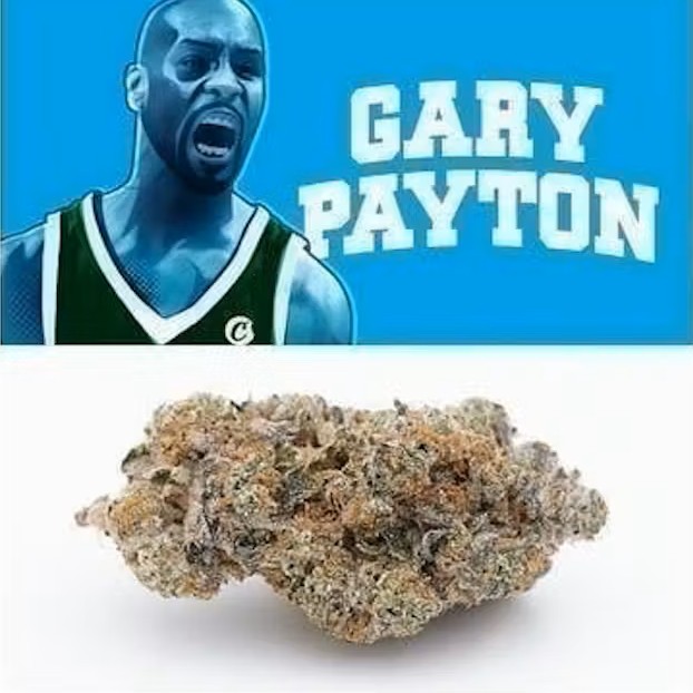 Photograph of product: Cookies: Popcorn Flower | Gary Payton - 7g