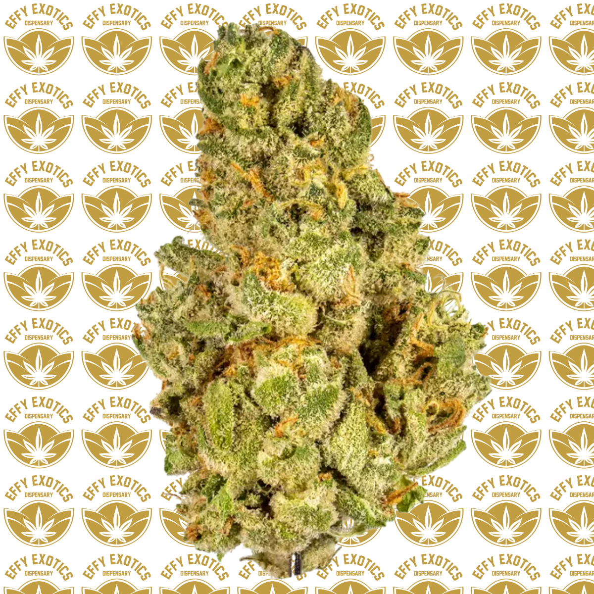 Photograph of product: KUSH MINTZ 24% - H.E HYBRID - 28g