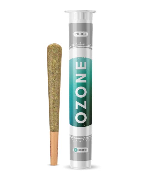 Photograph of product: Robusta Single