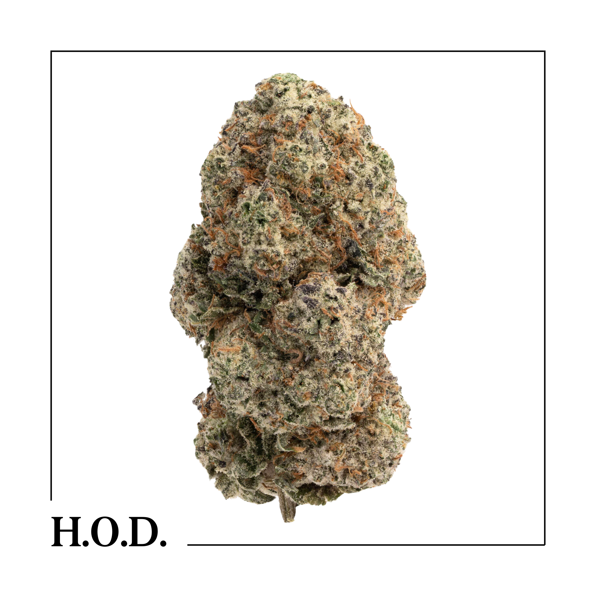 Photograph of product: Galactic Runtz - 28g