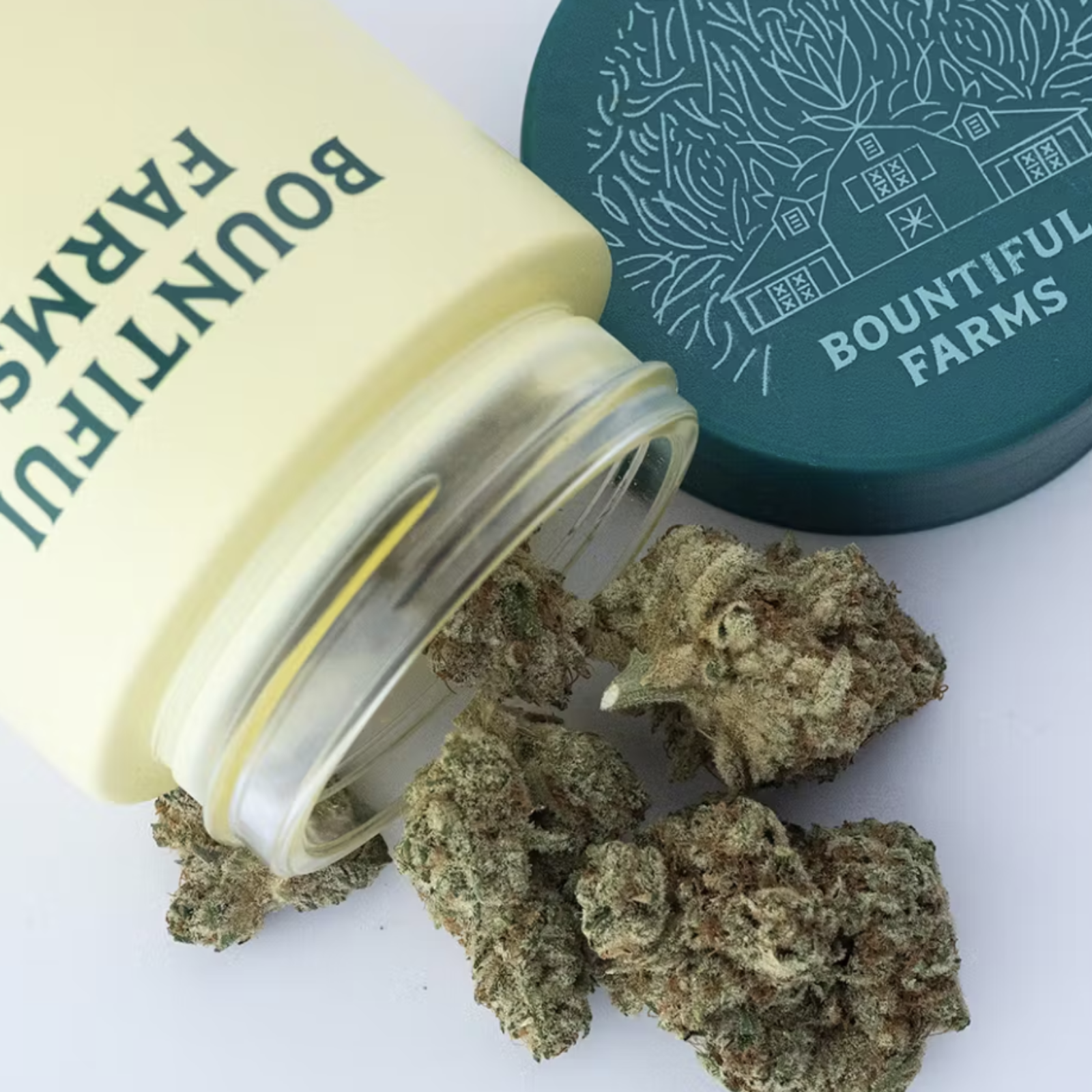 Photograph of product: Playerade | Bountiful Farms - 28g
