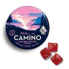 Photograph of product: CAMINO - EDIBLE (GUMMIES) - - WILD BERRY