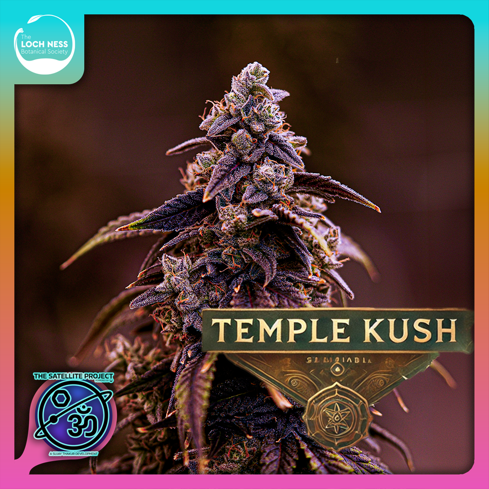 Photograph of product: Temple Kush - 1g